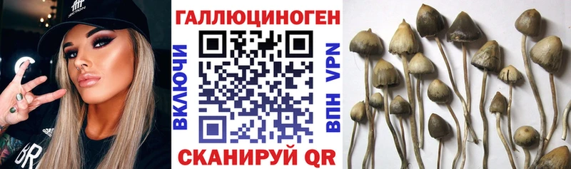 Псилоцибиновые грибы мухоморы  Торжок 