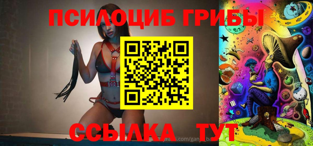 магазин    Псилоцибиновые грибы прущие грибы  Вход с VPN  Торжок 
