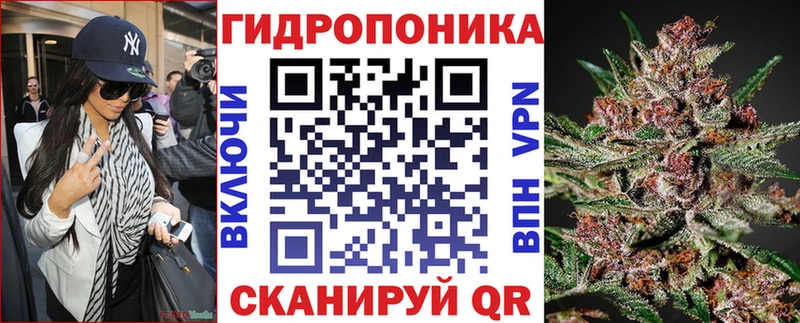 Бошки марихуана индика  продажа наркотиков  OMG ССЫЛКА  Торжок 